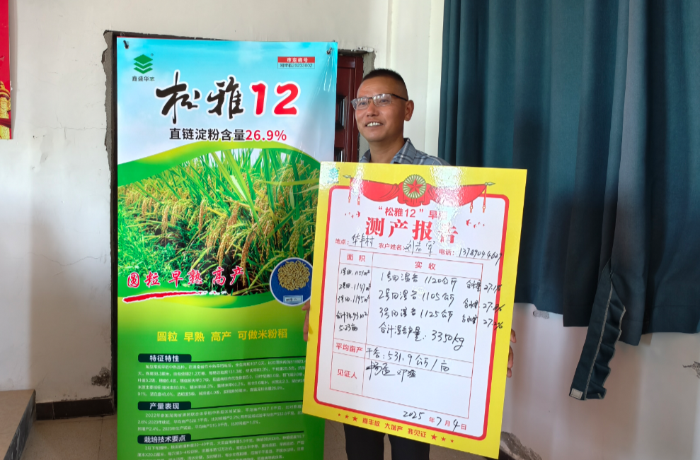 特早熟水稻新品種“松雅12”豐收@湖南日報(bào)