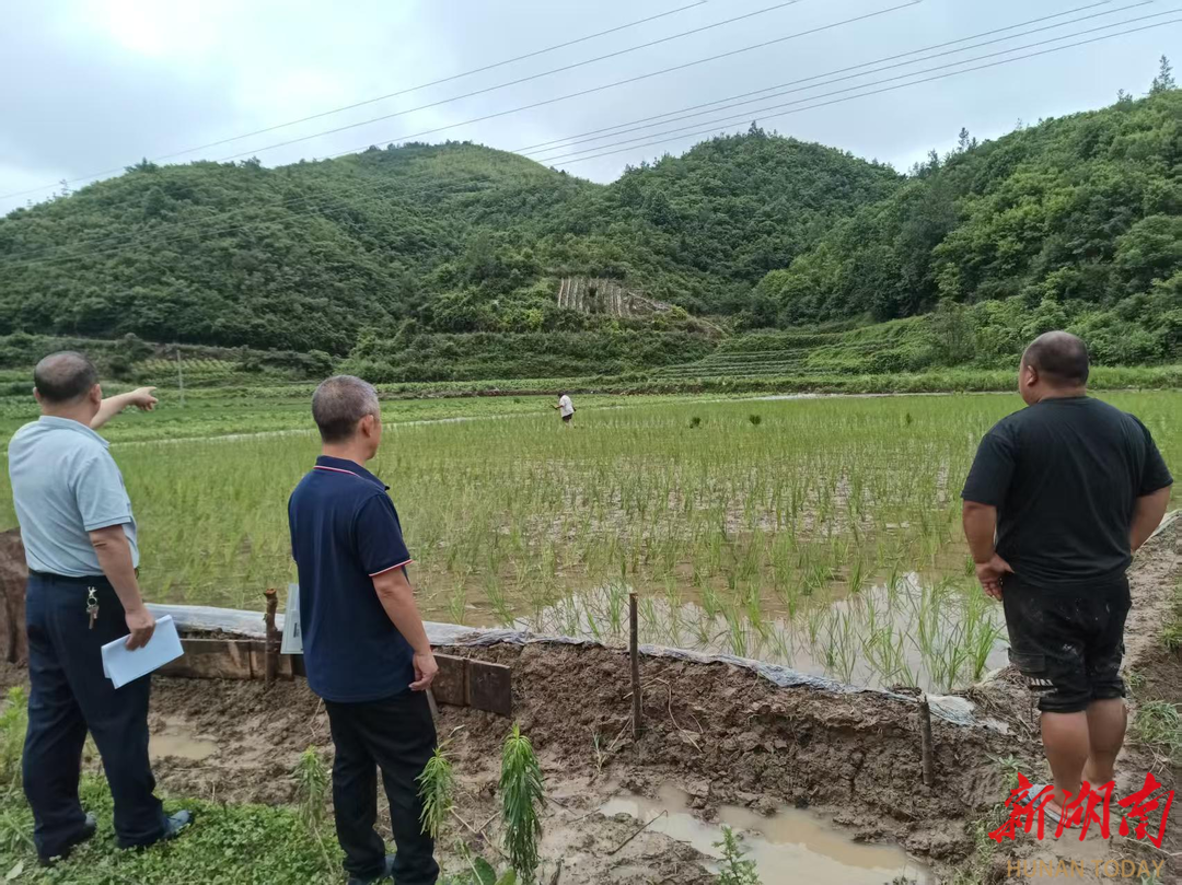 永順縣農(nóng)業(yè)農(nóng)村局全力開展災后農(nóng)業(yè)生產(chǎn)指導工作