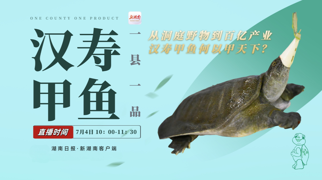 视频直播｜从洞庭野物到百亿产业，汉寿甲鱼何以甲天下？