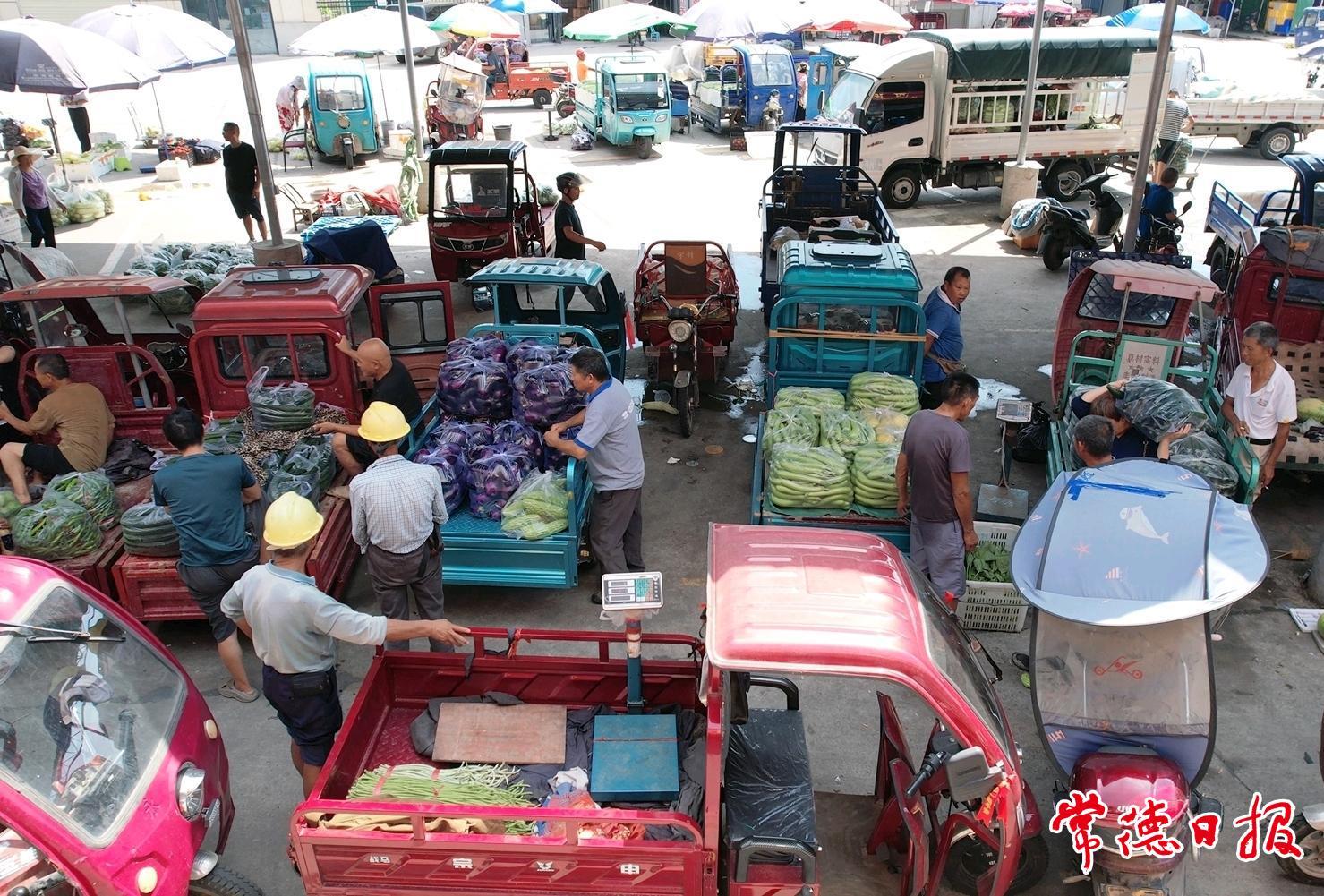 常德本地菜交易量激增30% 供需两旺价格稳中有升
