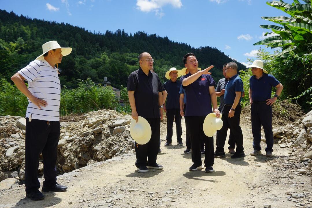 李平到龙山县大安乡调研灾后重建和乡村振兴工作