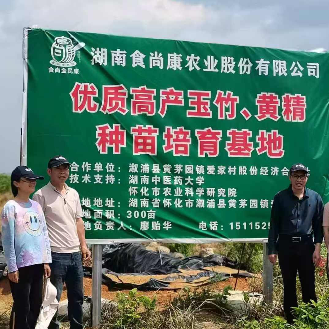 “参与者”到“先锋队”——怀化市农业科学研究院助力中药材产业高质量发展纪实