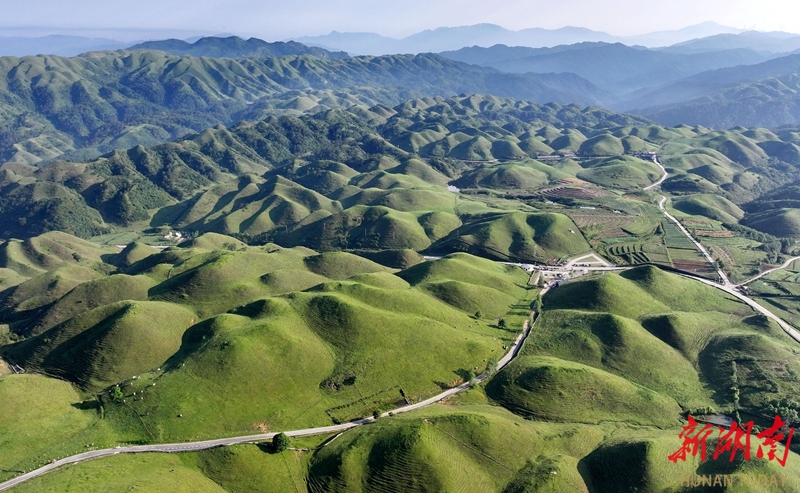 綠意南山