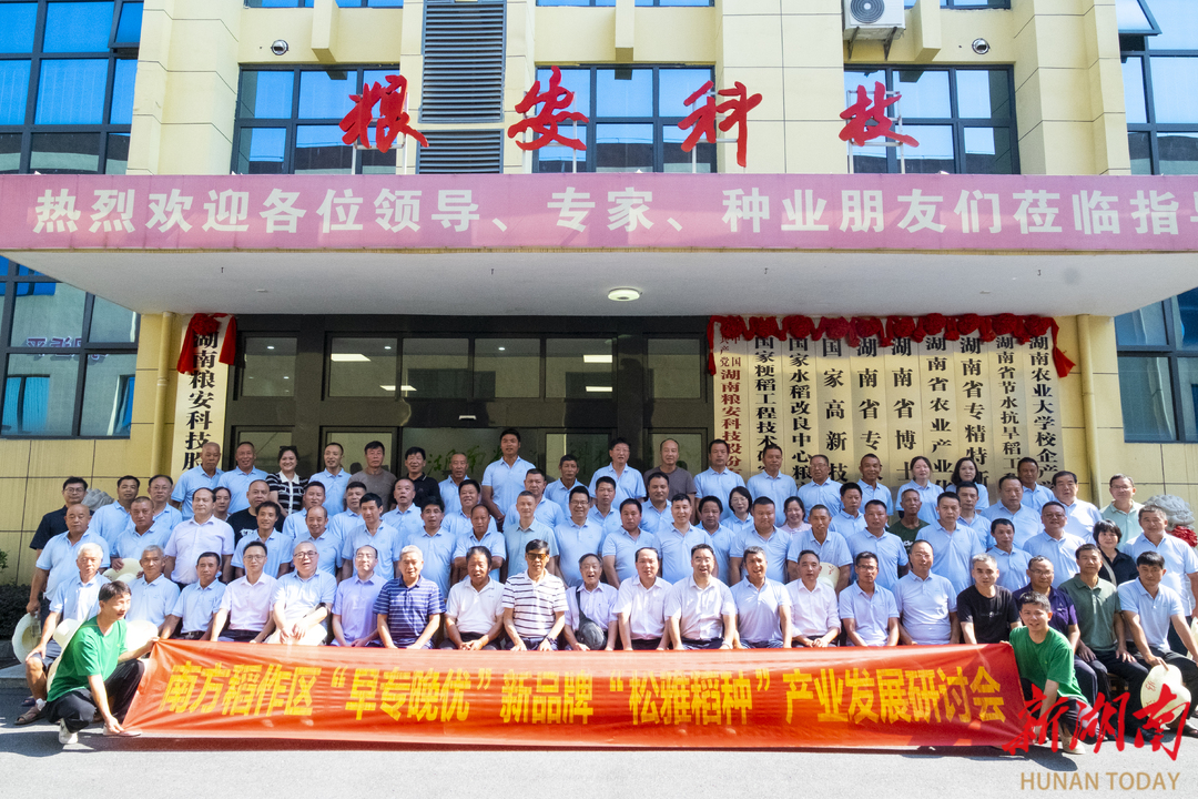水稻新品種“松雅稻種”新聞發(fā)布會在邵陽舉行 湖南特早熟早稻“米粉稻”育種取得突破性進展