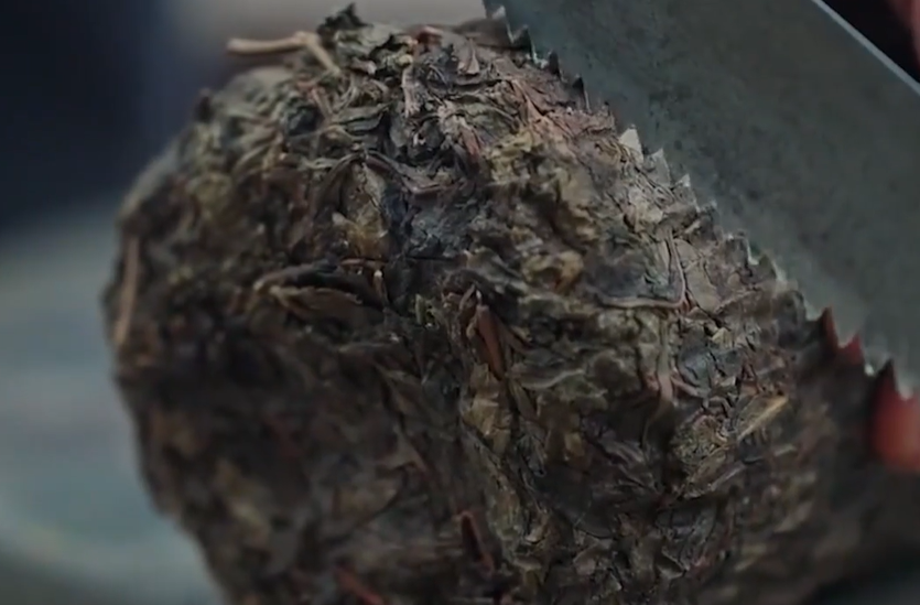Anhua Dark Tea: Taste Through Time