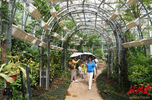 Explore Mystery of the Plant World at Hunan Botanical Garden