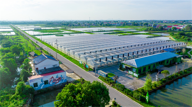 Crayfish-lotus Farming Generates Wealth for Farmers in Hunan