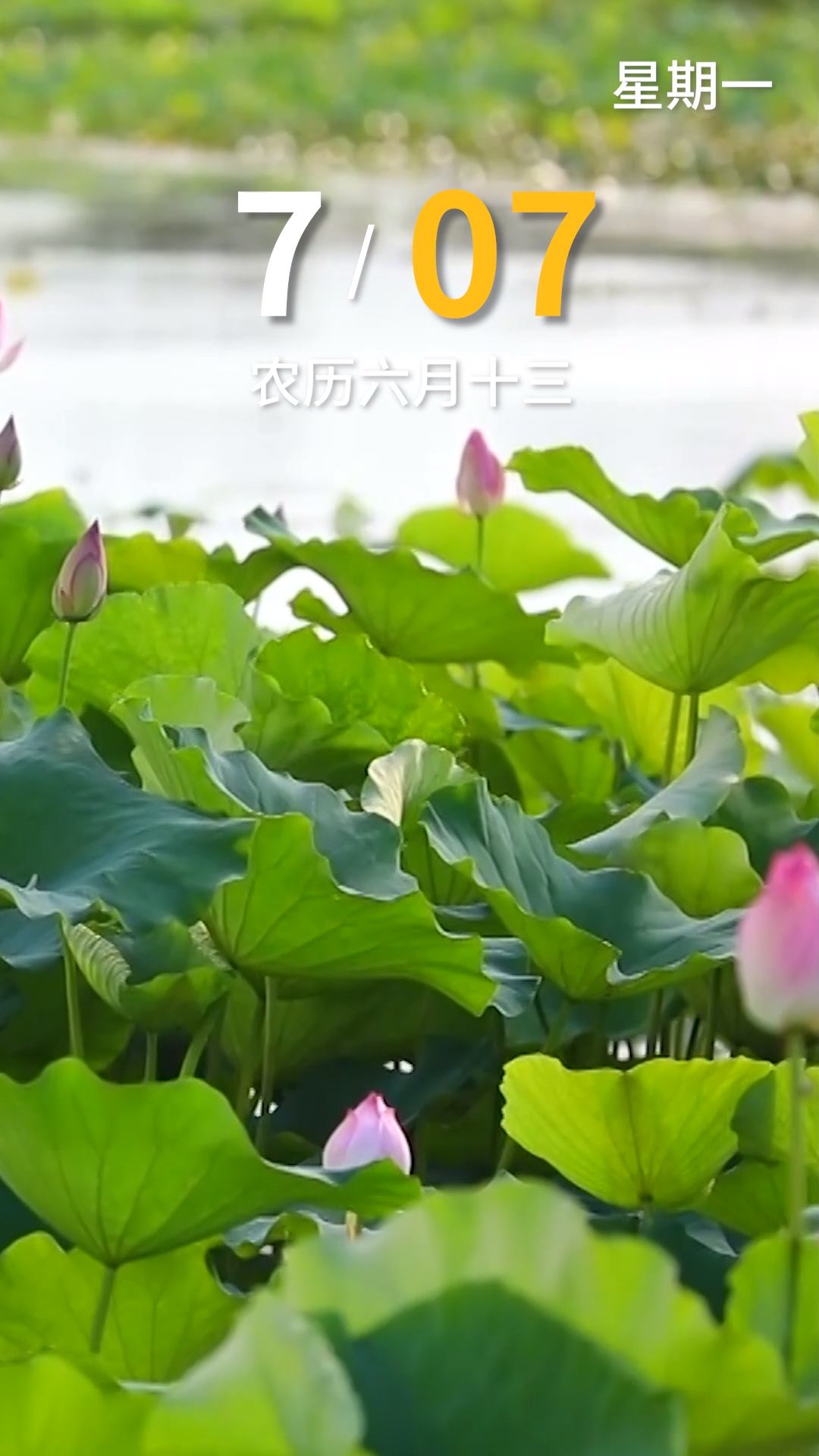 今天是7月7日，早安！