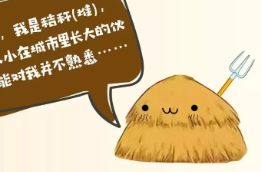禁止焚燒秸稈，保護生態(tài)環(huán)境