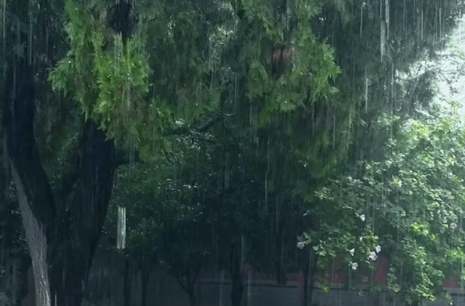 暴雨+大雾+高温+台风 中央气象台四预警齐发