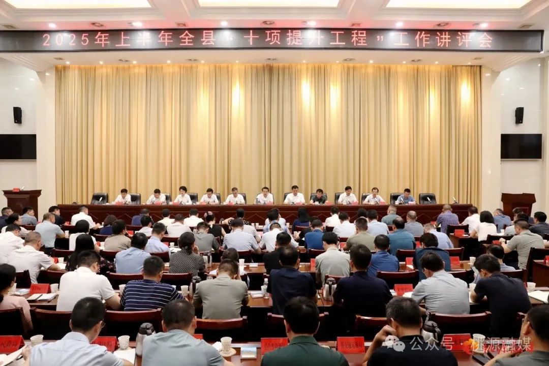 桃源县召开2025年上半年全县“十项提升工程”工作讲评会