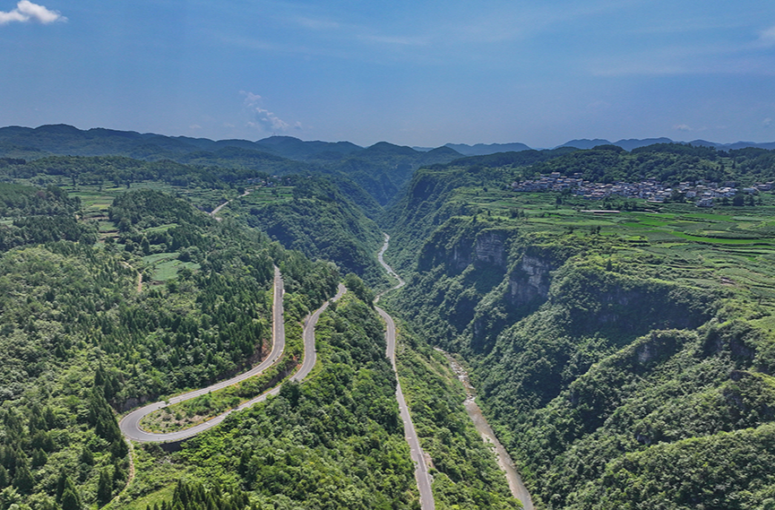 空中田園