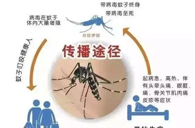 防蚊滅蚊 預(yù)防登革熱