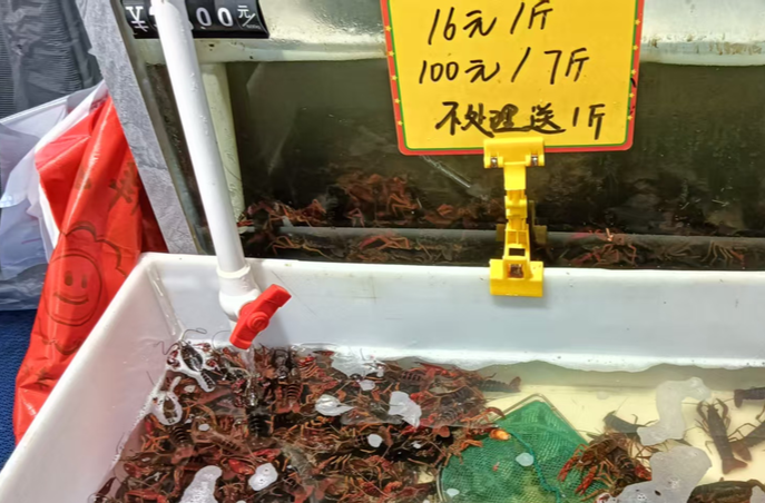 小龍蝦逐漸退市價格“翹尾巴” 8月梭子蟹將集中上市