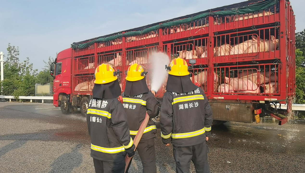 “二師兄”中暑了，望城消防緊急施救