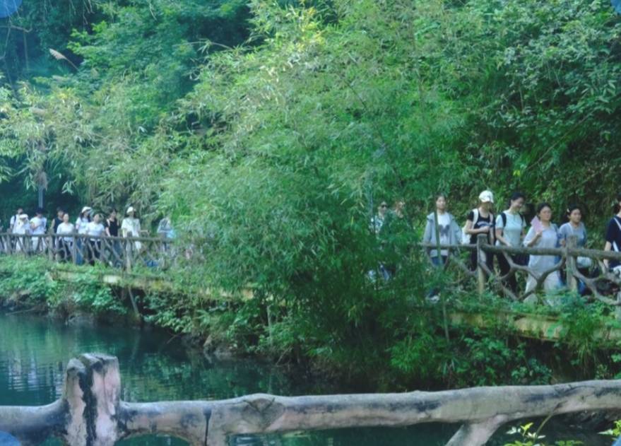 躬身沃野鑄青春 知行合一譜新篇——中南林科大學子平江調(diào)研助力鄉(xiāng)村振興