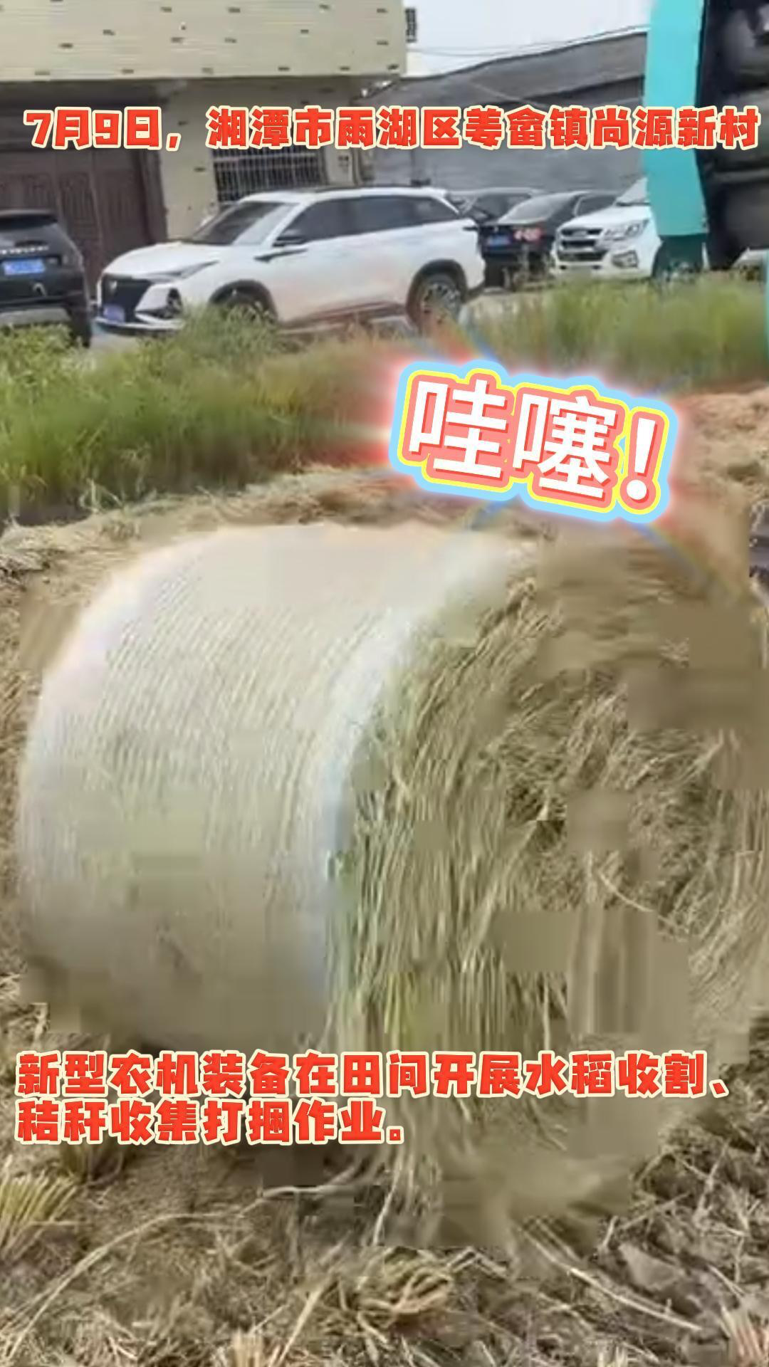 收割打捆一條龍，農(nóng)機(jī)作業(yè)so easy！