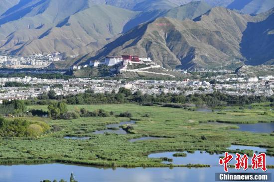 盛夏時(shí)節(jié)的拉魯濕地風(fēng)景如畫