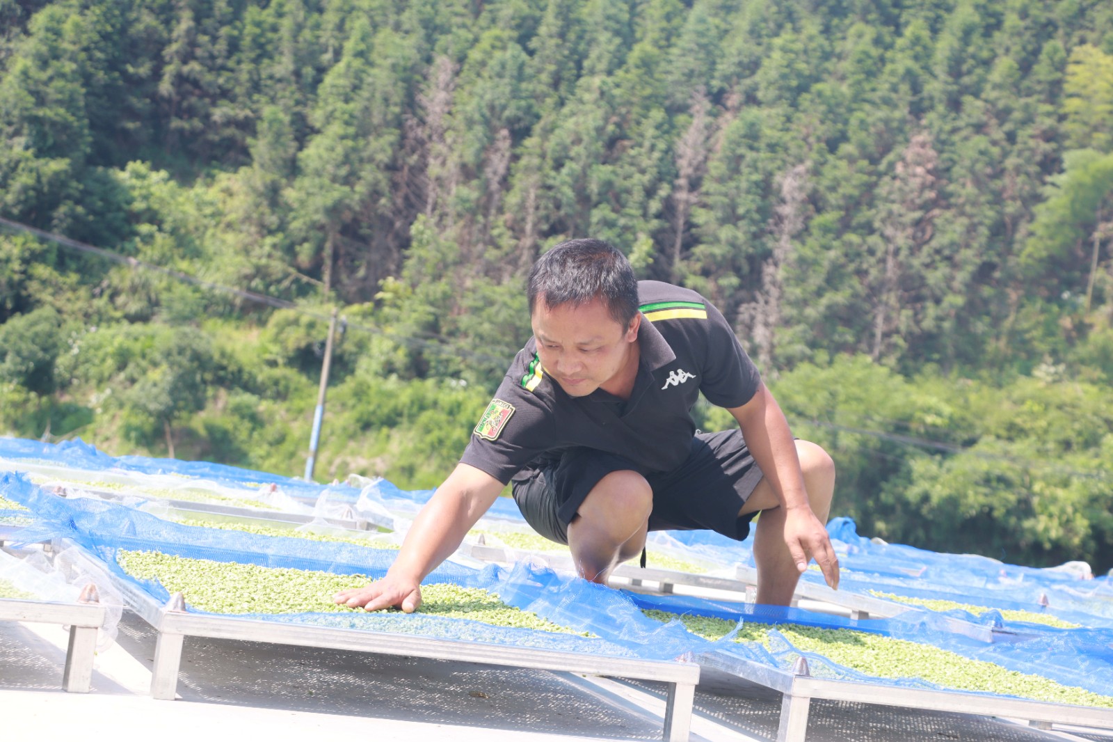 “湘”村振興景正好 | 瓦窯村：“小酸菜”激活鄉(xiāng)村振興“大鏈條”