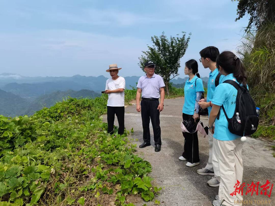 探索鄉(xiāng)村振興新路徑——湖南第一師范學(xué)院學(xué)子赴古丈縣牛角山進(jìn)行茶旅產(chǎn)業(yè)調(diào)研