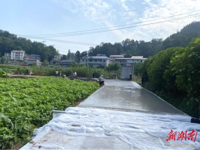 把村路修到群眾心坎上