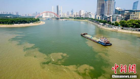 武漢兩江交匯處現(xiàn)“涇渭分明”景觀