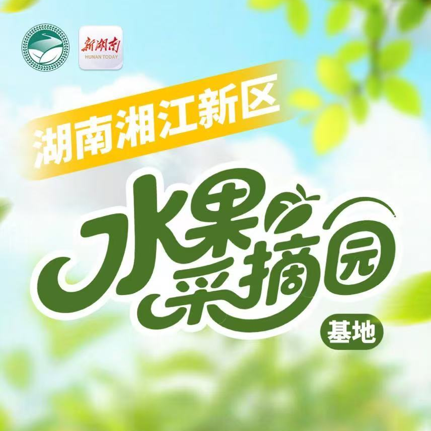 湘江新區(qū)“果”然有趣 摘果指南“袋”回家