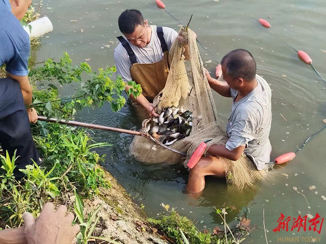 辰溪縣譚家場鄉(xiāng)：稻花魚苗送進(jìn)村  群眾增收助振興