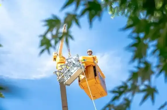 張迎春：滿足人民群眾的用能期望 打好迎峰度夏電力保供戰(zhàn)