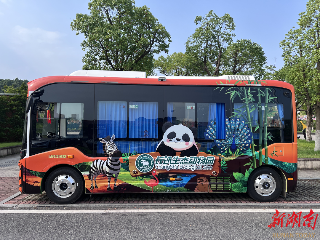 地鐵口直達(dá)動(dòng)物園！長(zhǎng)沙生態(tài)動(dòng)物園萌趣專線等你來(lái)打卡