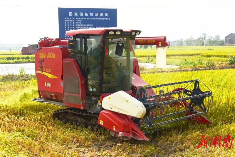 國家儲(chǔ)備糧源基地“雙搶”正酣