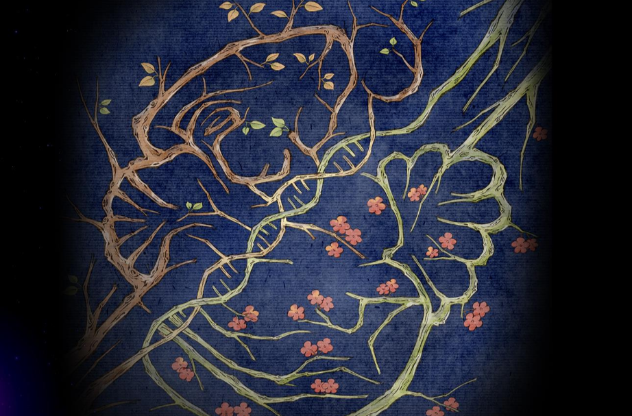 再創(chuàng)多個“首次”“之最”！我國腦圖譜研究系列成果集中發(fā)布