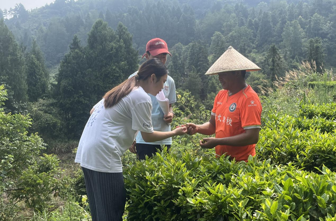 幾畝茶田二十載 知行合一助振興——湖南第一師范學(xué)院“惠溪知行”鄉(xiāng)村振興促進(jìn)團(tuán)訪談會溪村“種茶大戶”