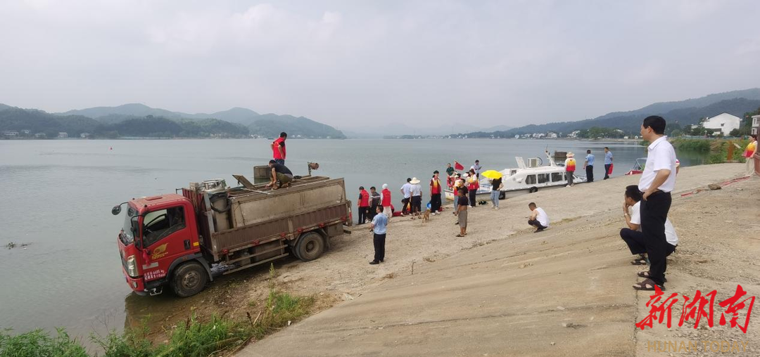 90萬(wàn)尾魚(yú)苗入資江！桃江20年放流超1億尾魚(yú)苗只為這事！