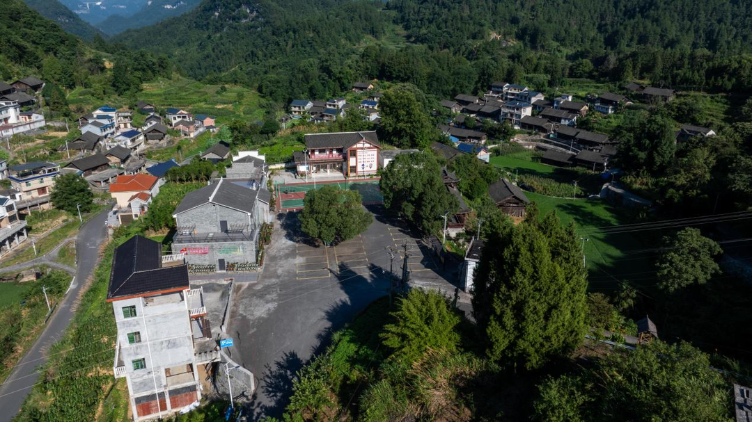 散文丨山中栗溪