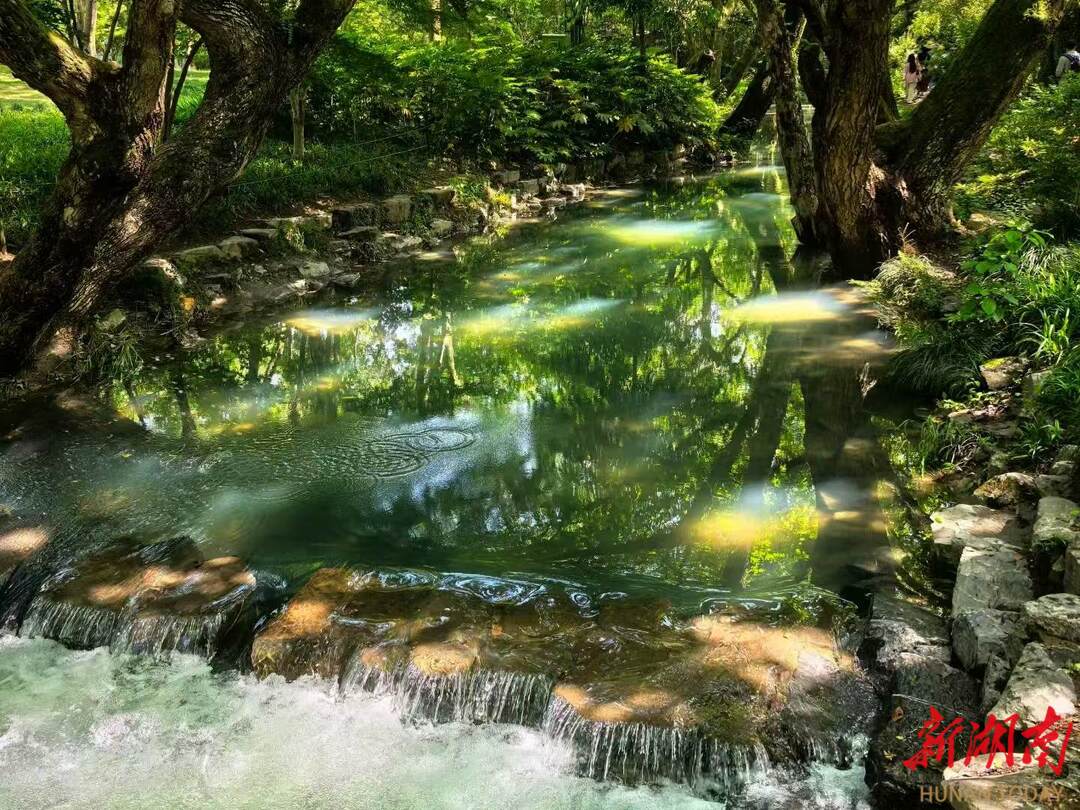 呼吸間的“正氣”源泉（下）丨“空氣維生素”背后的健康密碼