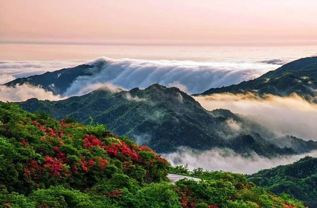 散文丨阳明山的釉色@湖南日报