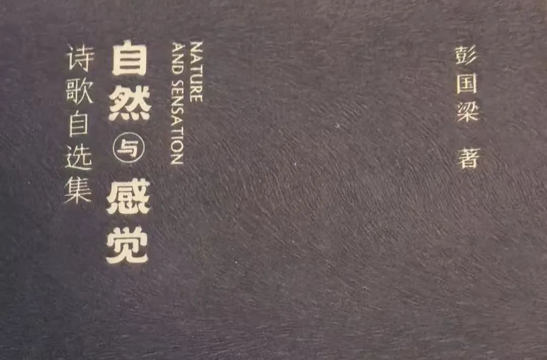 艺评｜施俊杰：明净诗语中的乡土精神与生命直觉——评彭国梁诗歌自选集《自然与感觉》