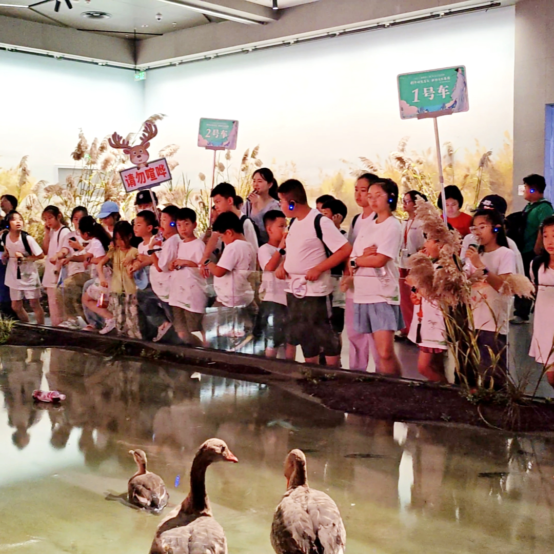少年“湘遇”洞庭！百名学子来岳研学解锁长江文明密码