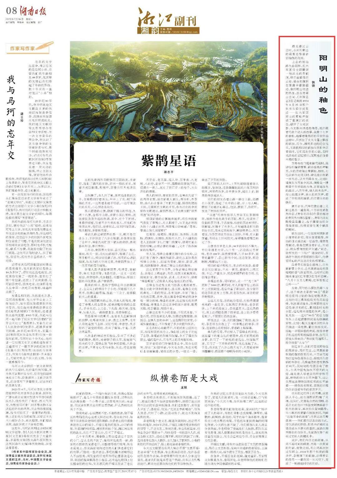 湘江副刊·湘韻｜陽明山的釉色