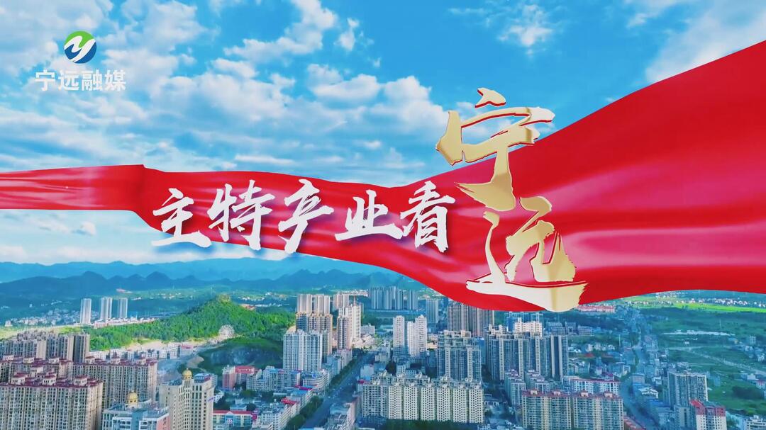 宁远：一片茶叶带富一方百姓