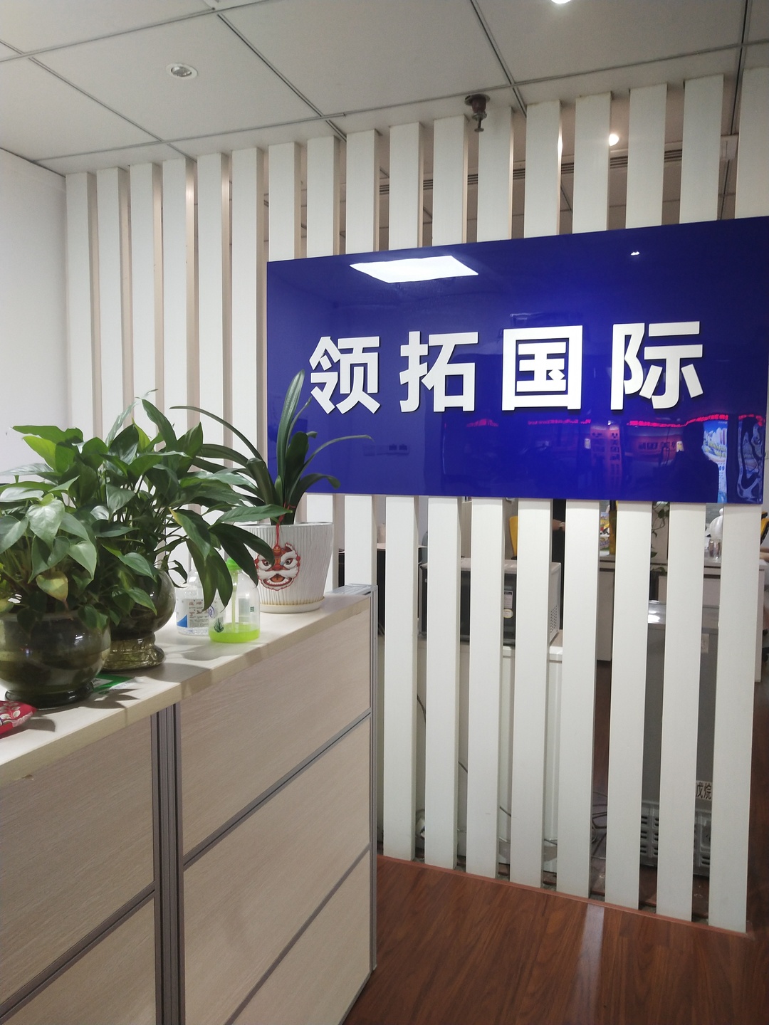 领拓国际教育集团：30余载深耕留学移民，让全球化生活触手可及