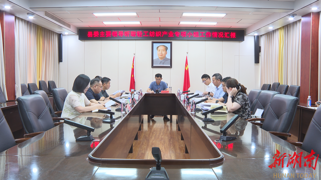 王启武听取轻工纺织产业专项小组工作情况汇报