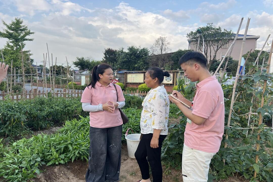 从“种子保护”到“产业赋能”，长沙商贸旅游职院学子调研永安镇文旅新路径