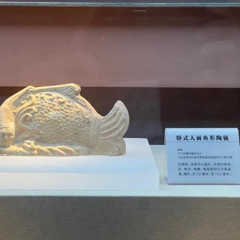 100多歲VS1000多歲，你更喜歡哪條美人魚(yú)呢？