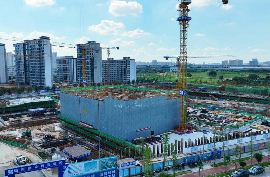 片區(qū)建設(shè)進行時丨麗思卡爾頓酒店：生長中的城市天際線