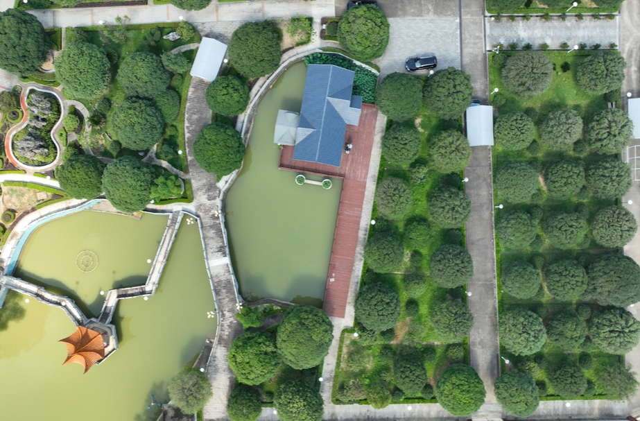 片區(qū)建設(shè)進行時③丨瀏陽河風(fēng)光帶：正在呼吸的城市綠脈