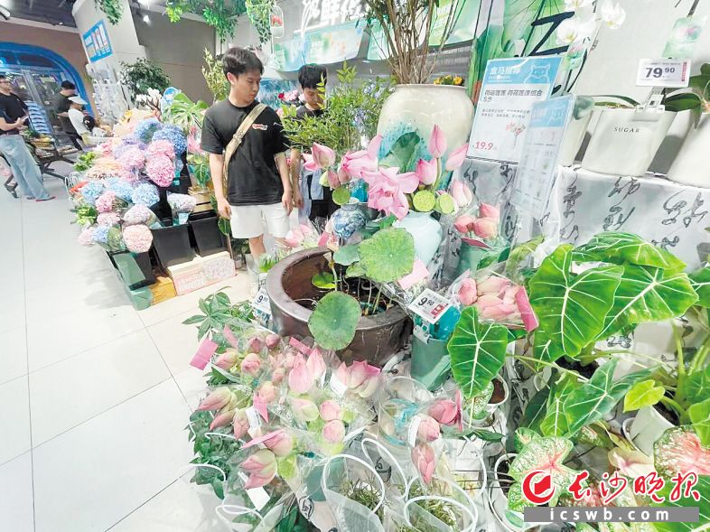 “荷”其浪漫，中式美學帶火夏日消費