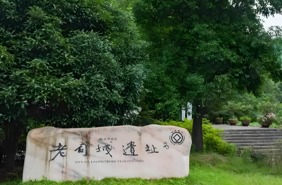 跨越山海“寻根记”@湖南日报要闻