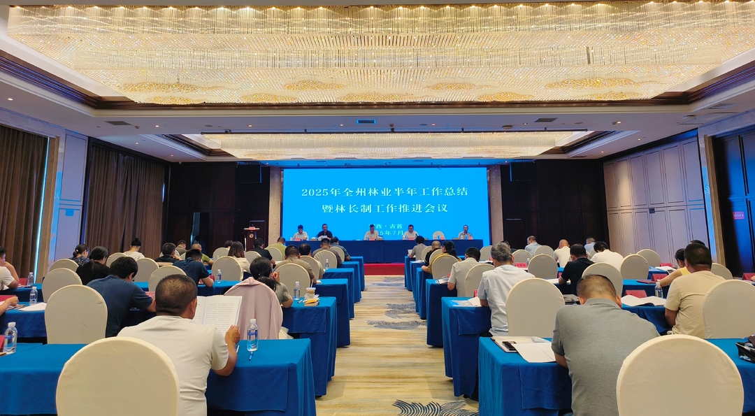 “增绿、护绿、用绿”协同推进 湘西林业晒出半年生态成绩单